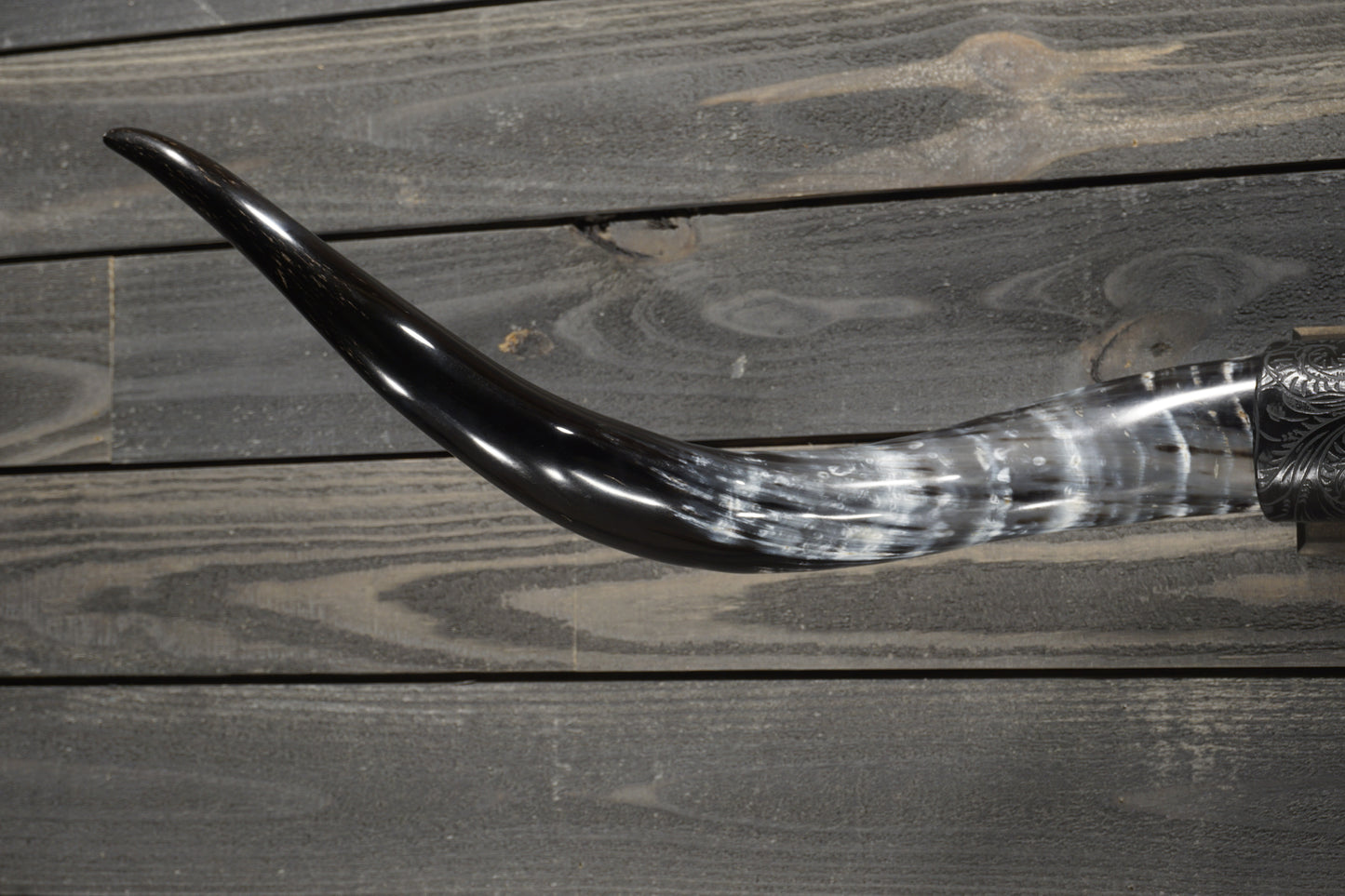 4' 7" Longhorn Wall Mount #288