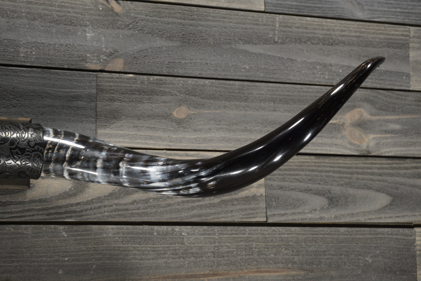4' 7" Longhorn Wall Mount #288