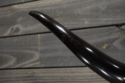 4' 7" Longhorn Wall Mount #288