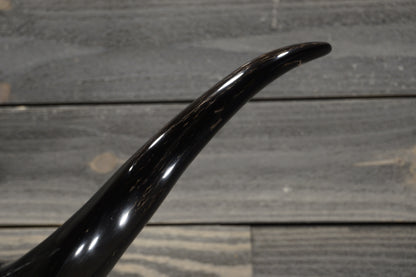 4' 7" Longhorn Wall Mount #288