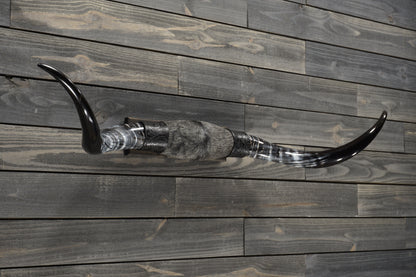 4' 7" Longhorn Wall Mount #288