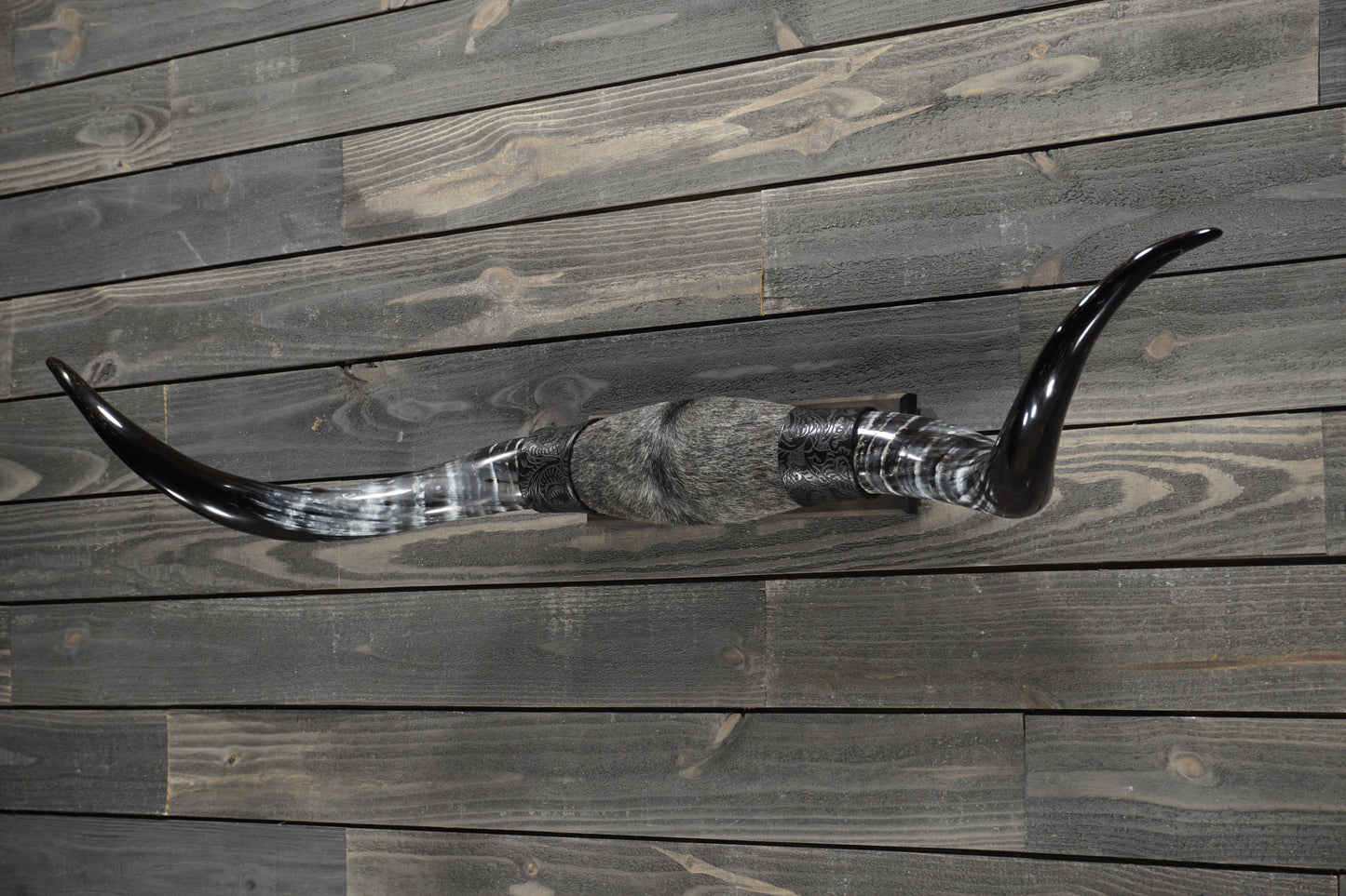4' 7" Longhorn Wall Mount #288