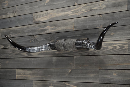 4' 7" Longhorn Wall Mount #288