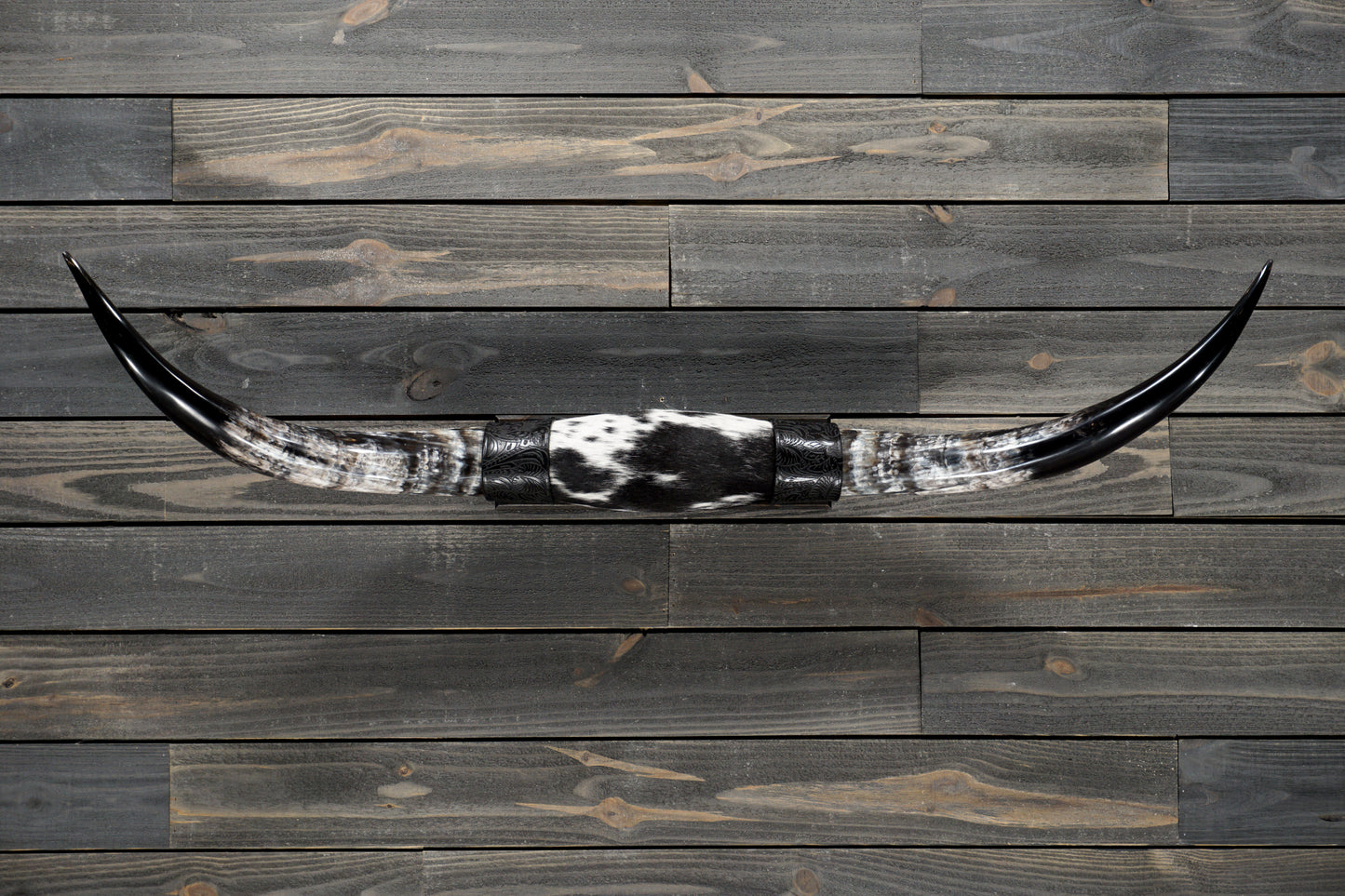 4' 5" Longhorn Wall Mount #354