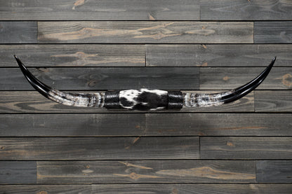 4' 5" Longhorn Wall Mount #354