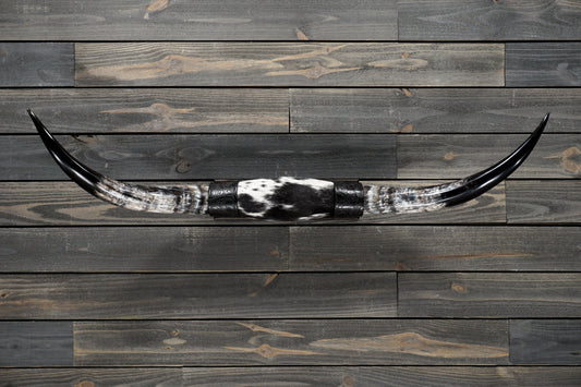 4' 5" Longhorn Wall Mount #354