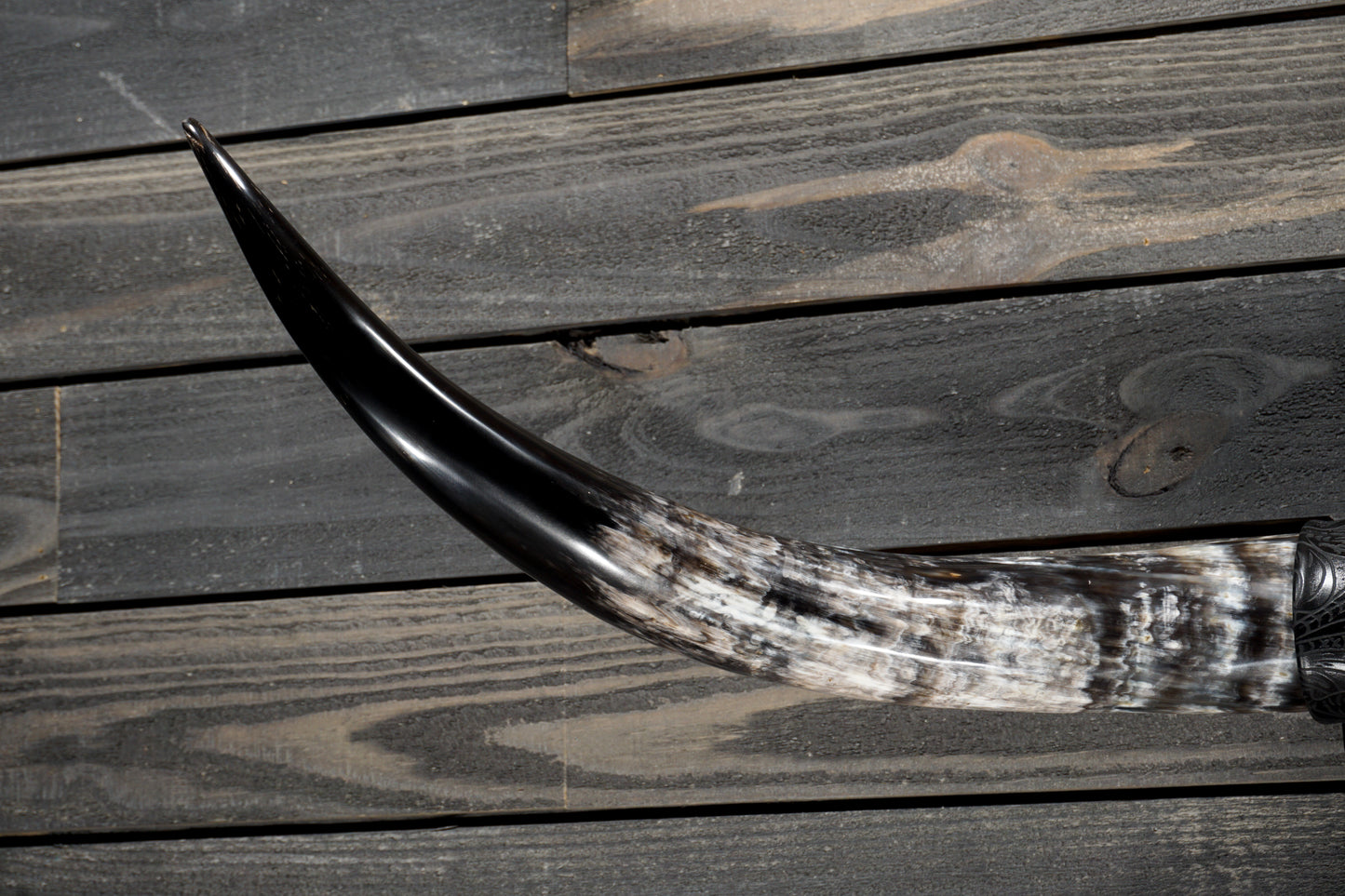 4' 5" Longhorn Wall Mount #354