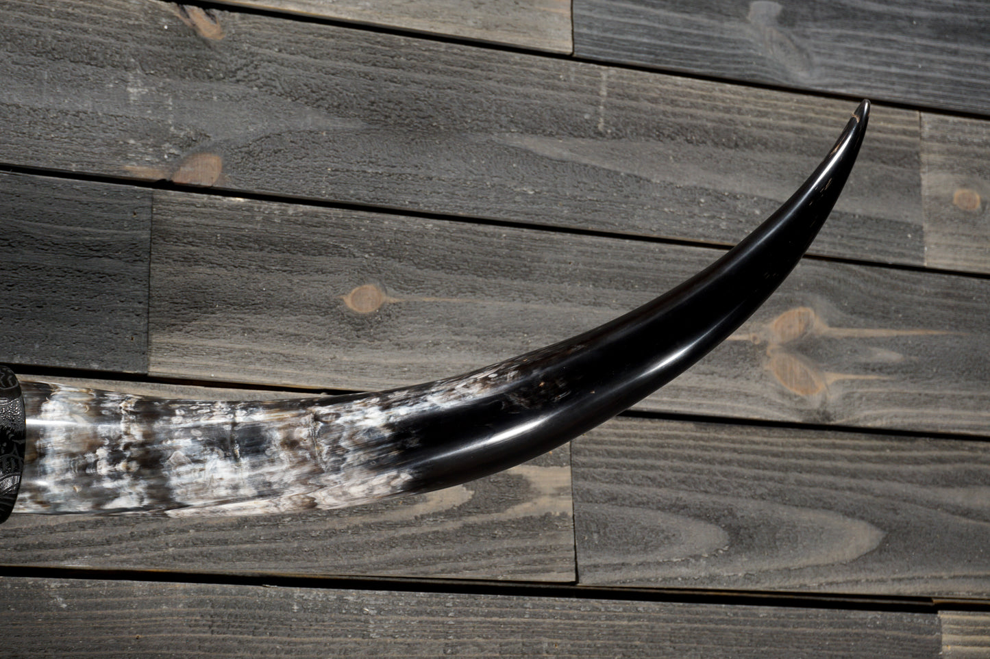 4' 5" Longhorn Wall Mount #354