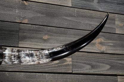 4' 5" Longhorn Wall Mount #354