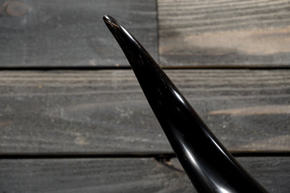 4' 5" Longhorn Wall Mount #354