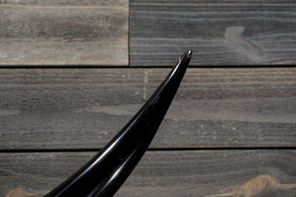 4' 5" Longhorn Wall Mount #354