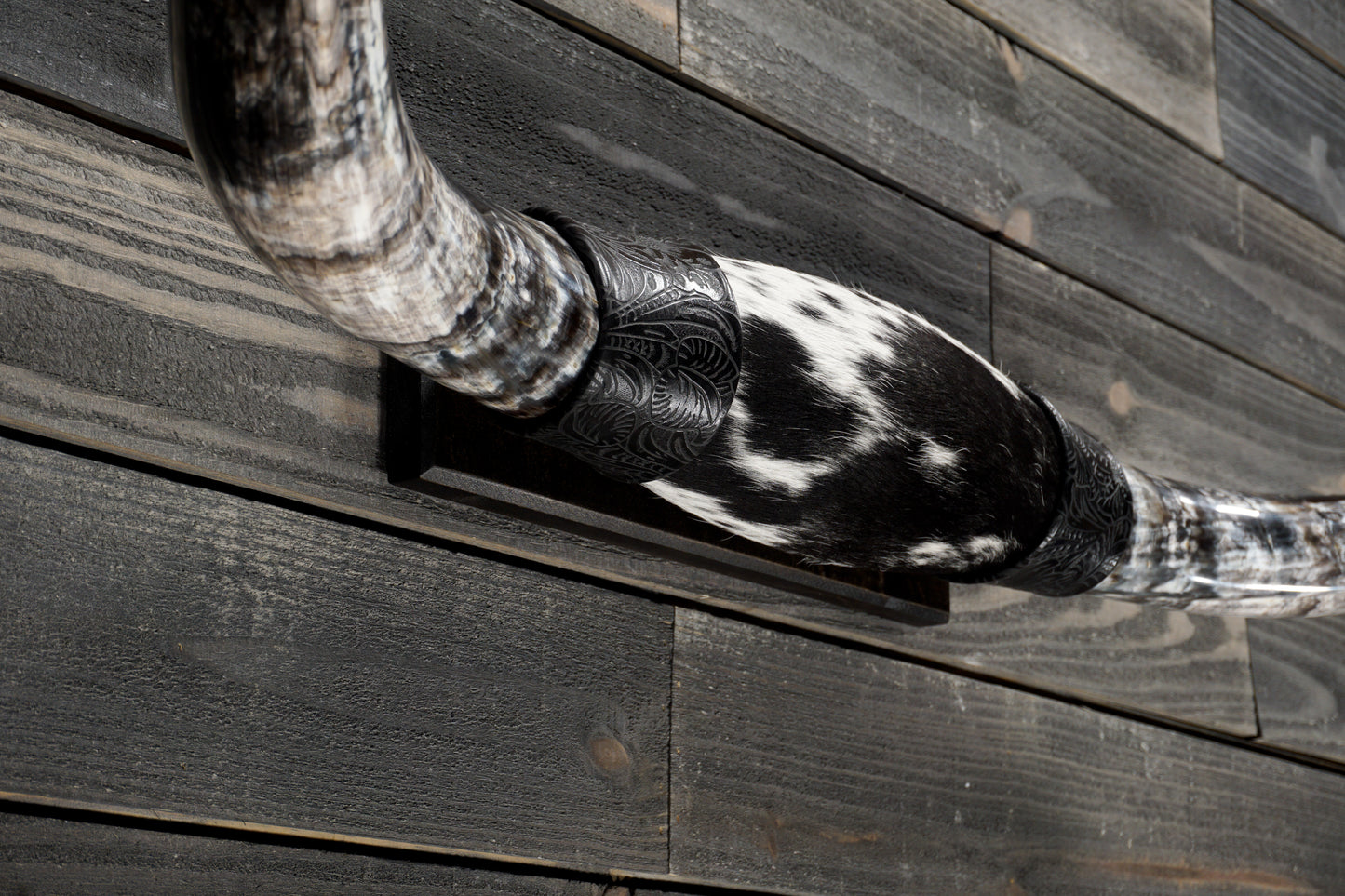 4' 5" Longhorn Wall Mount #354