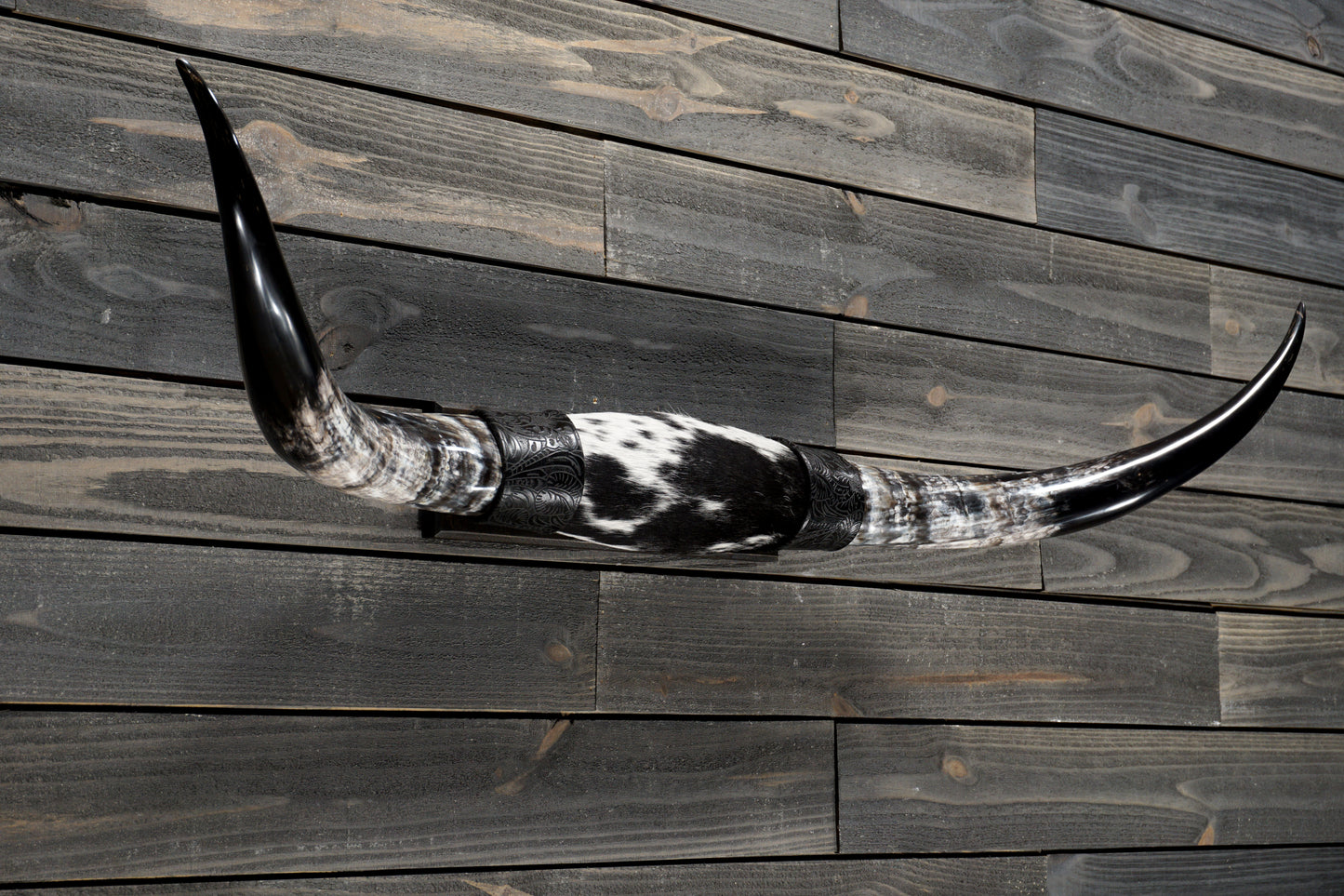 4' 5" Longhorn Wall Mount #354