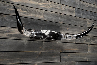 4' 5" Longhorn Wall Mount #354