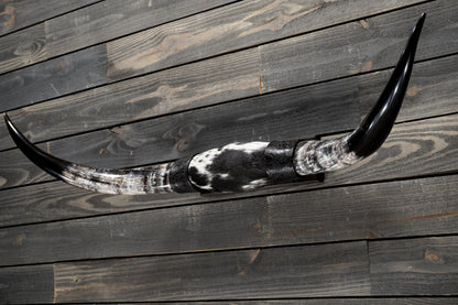 4' 5" Longhorn Wall Mount #354