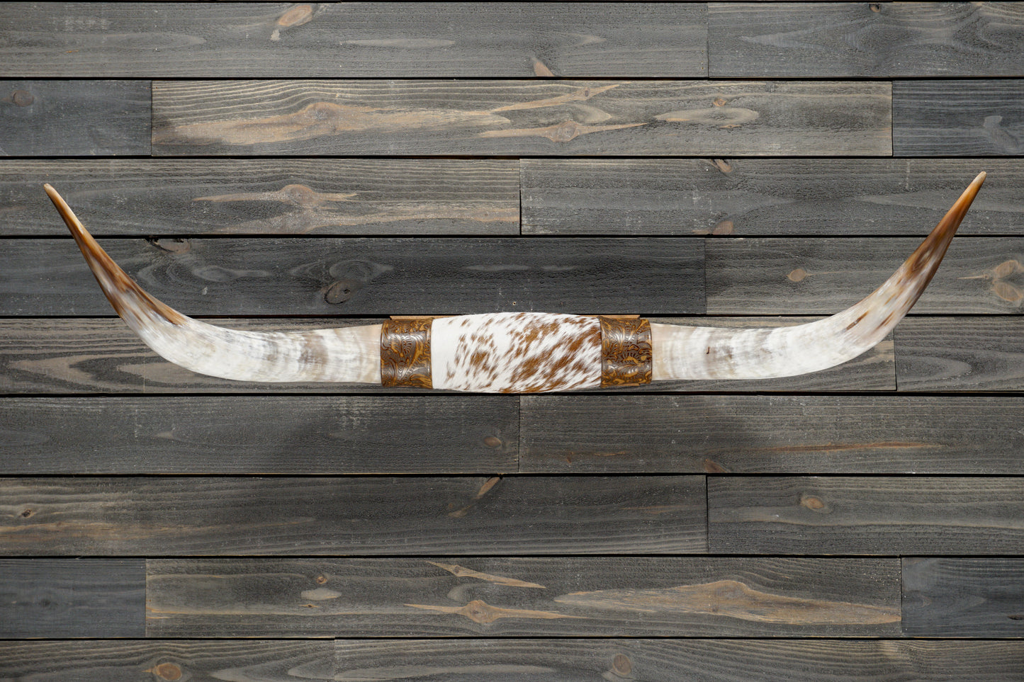 4' 5" Longhorn Wall Mount #366