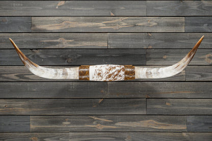 4' 5" Longhorn Wall Mount #366