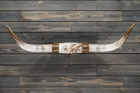 4' 5" Longhorn Wall Mount #366