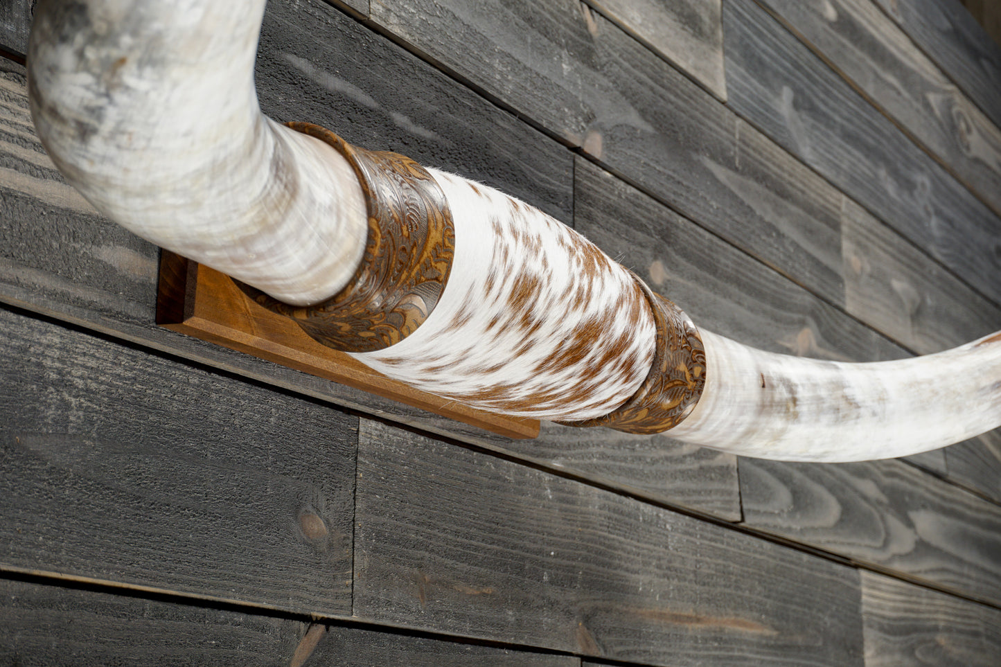 4' 5" Longhorn Wall Mount #366