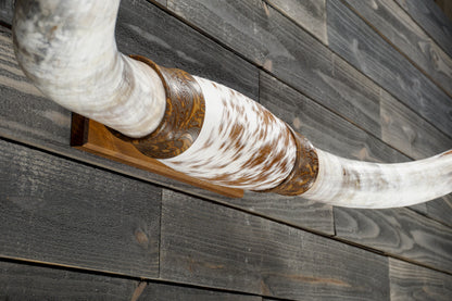 4' 5" Longhorn Wall Mount #366