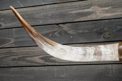 4' 5" Longhorn Wall Mount #366