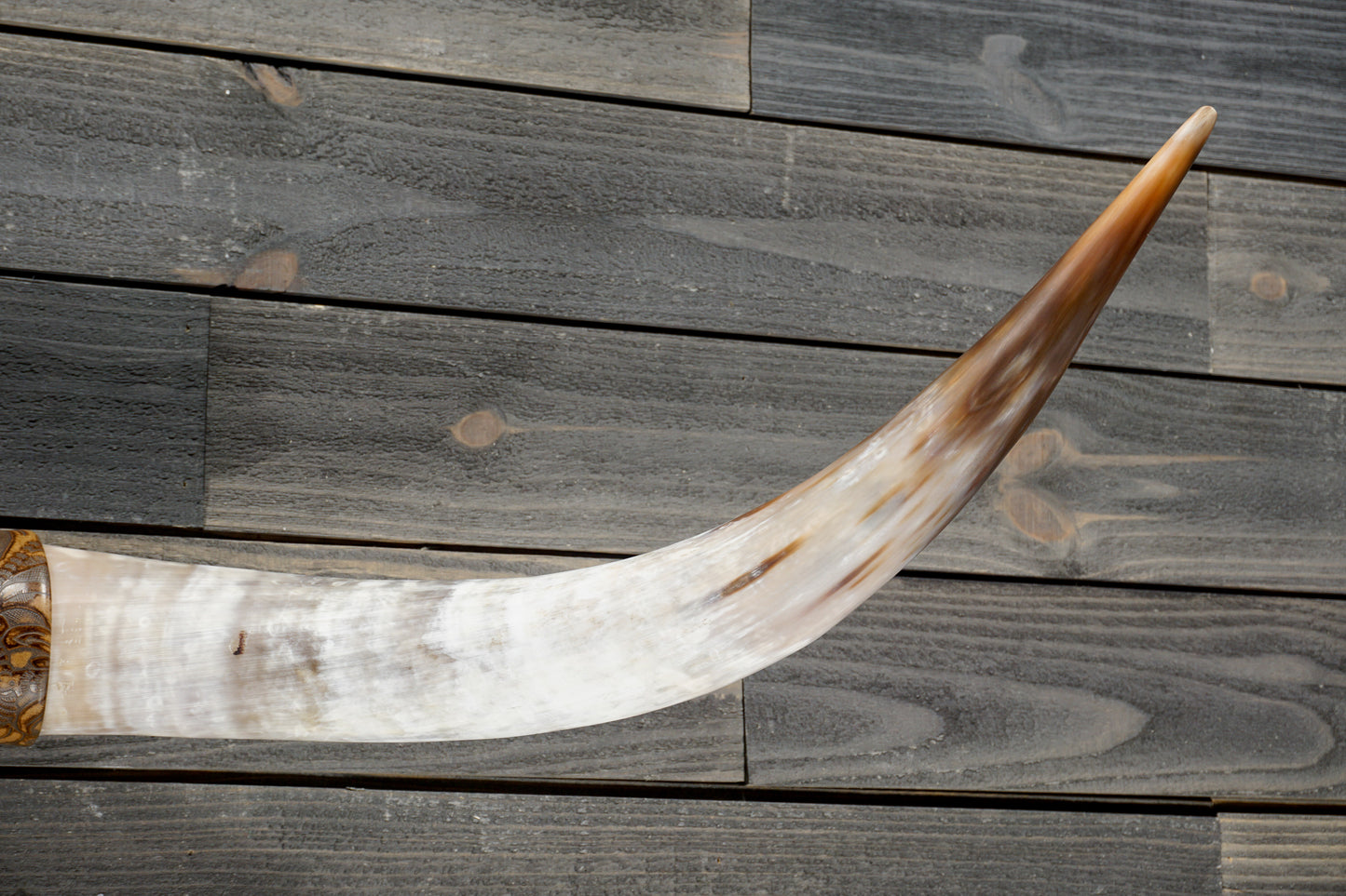 4' 5" Longhorn Wall Mount #366