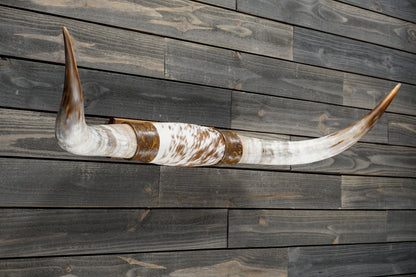 4' 5" Longhorn Wall Mount #366