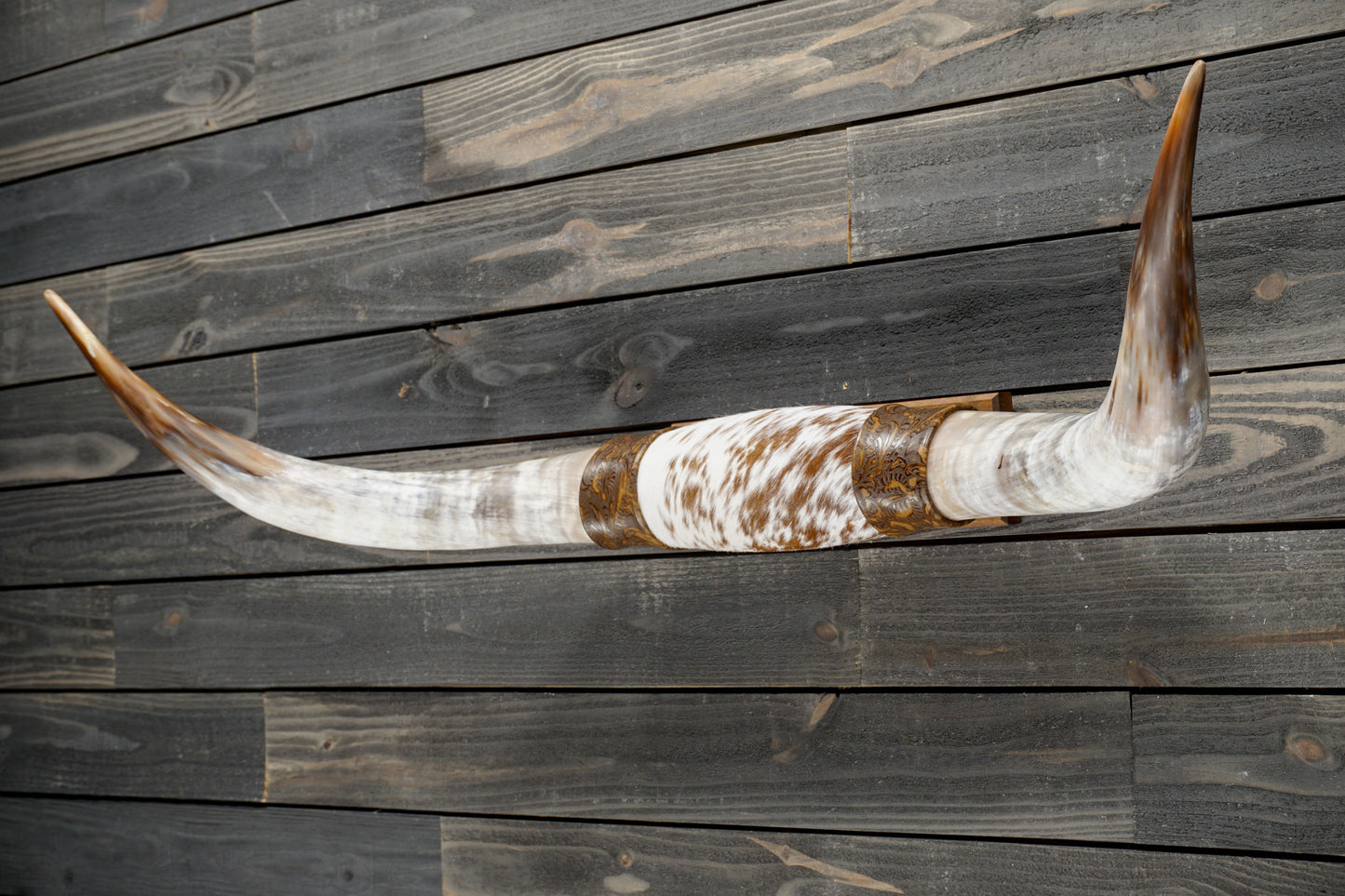 4' 5" Longhorn Wall Mount #366