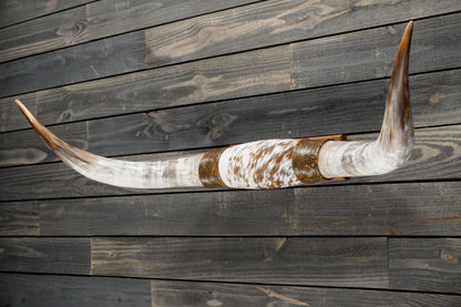 4' 5" Longhorn Wall Mount #366