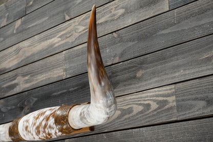 4' 5" Longhorn Wall Mount #366