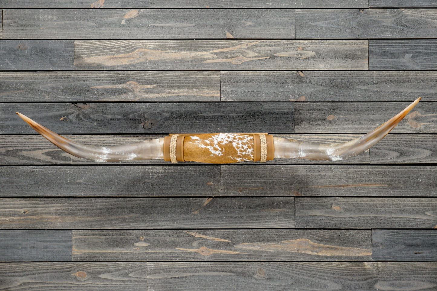 4' 11" Longhorn Wall Mount #377