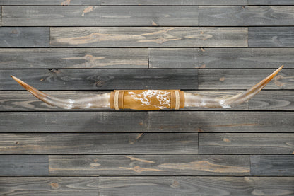 4' 11" Longhorn Wall Mount #377