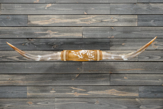 4' 11" Longhorn Wall Mount #377