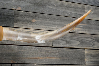 4' 11" Longhorn Wall Mount #377