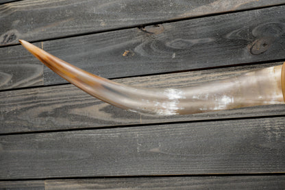 4' 11" Longhorn Wall Mount #377