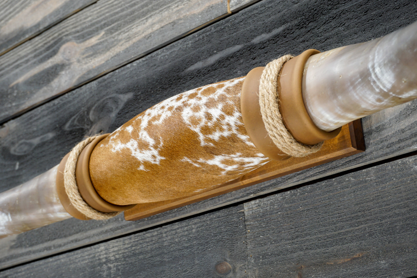 4' 11" Longhorn Wall Mount #377