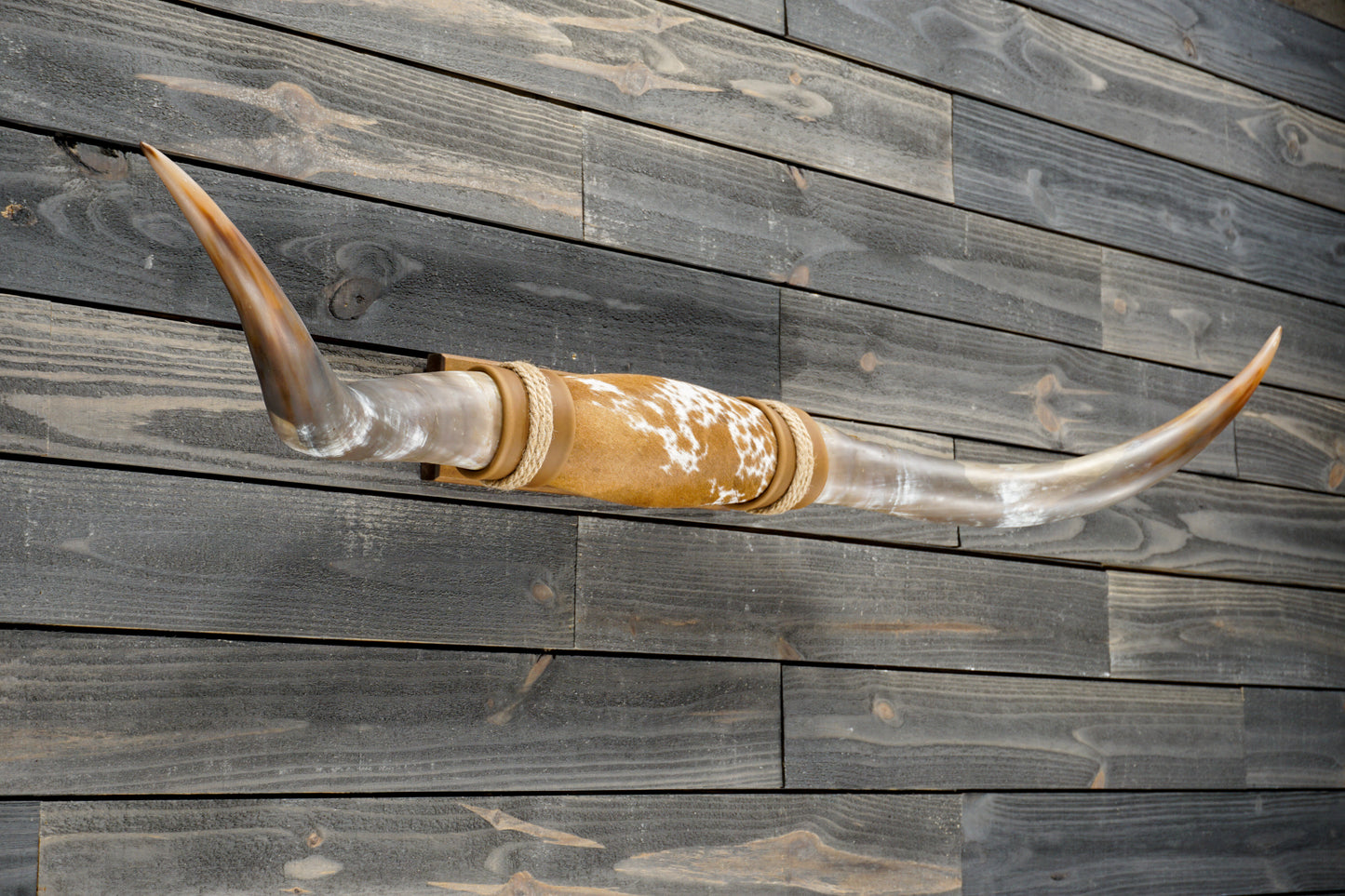 4' 11" Longhorn Wall Mount #377