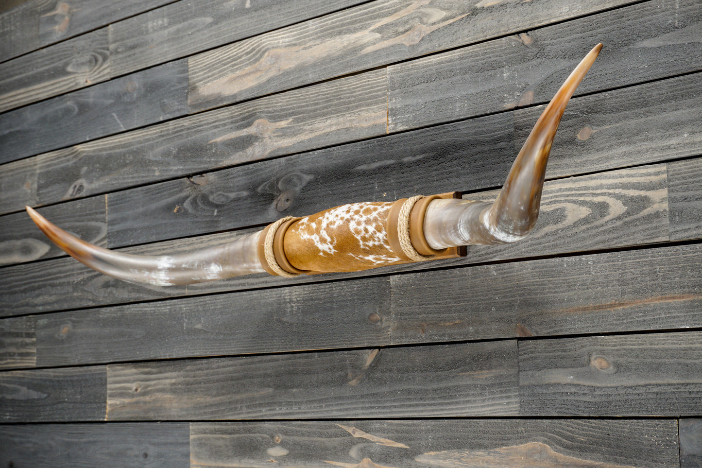 4' 11" Longhorn Wall Mount #377