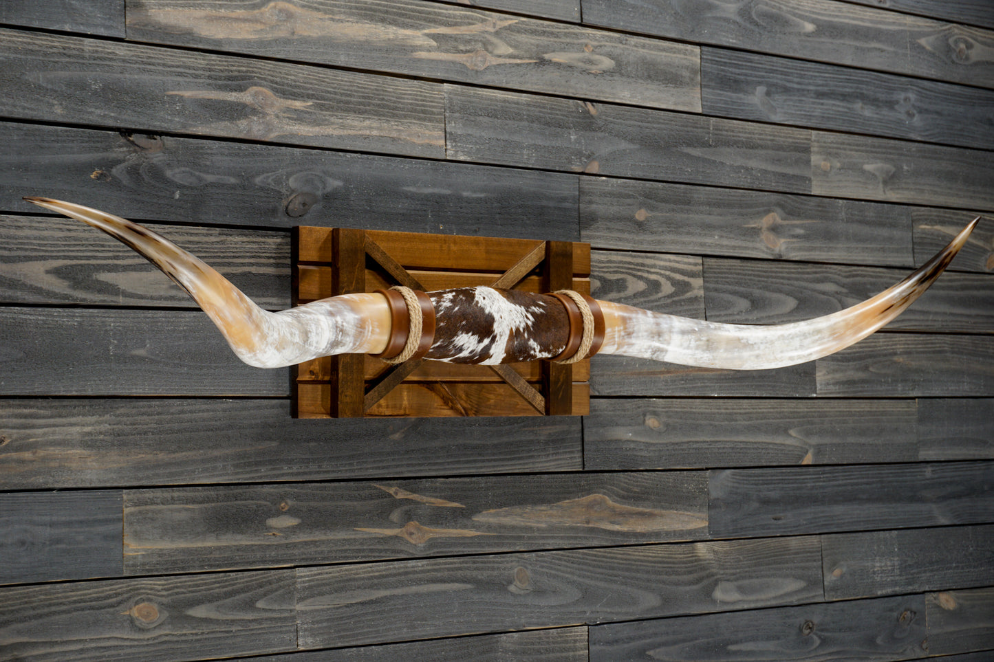 6' 0" Longhorn Wall Mount #320