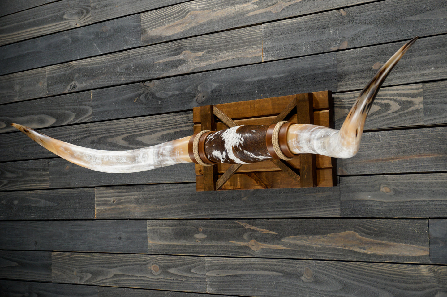 6' 0" Longhorn Wall Mount #320