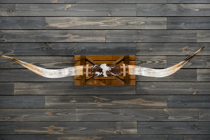 6' 0" Longhorn Wall Mount #320