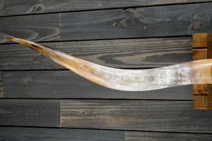 6' 0" Longhorn Wall Mount #320