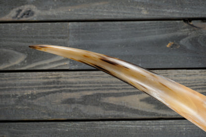 6' 0" Longhorn Wall Mount #320