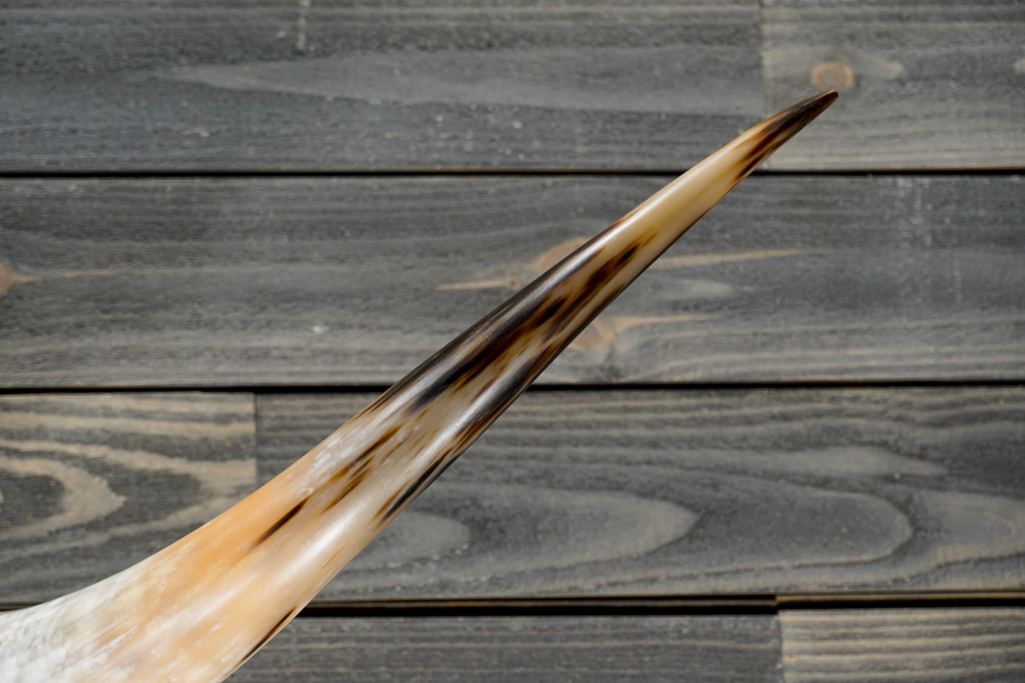 6' 0" Longhorn Wall Mount #320