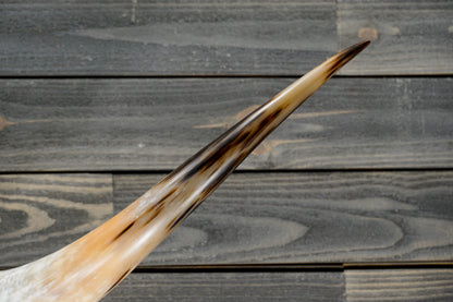 6' 0" Longhorn Wall Mount #320