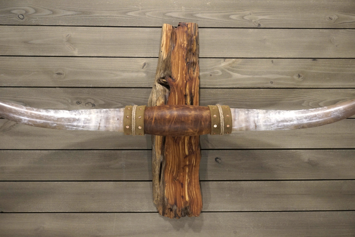 5' 9" Longhorn Wall Mount #244
