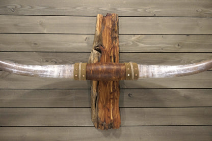 5' 9" Longhorn Wall Mount #244