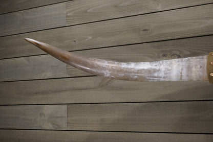 5' 9" Longhorn Wall Mount #244