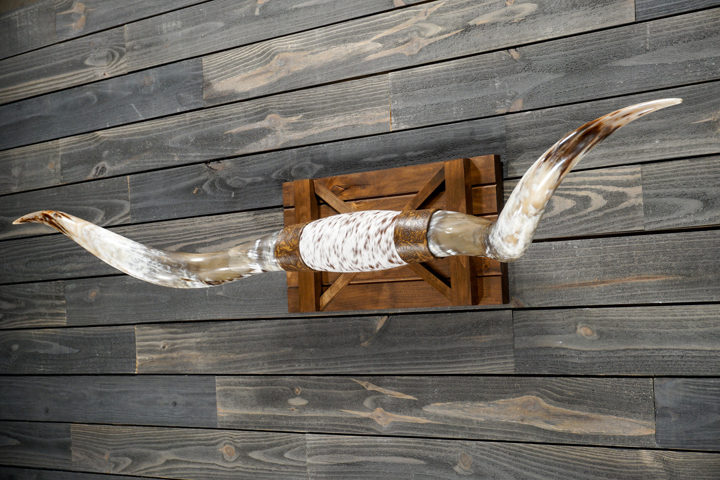 6' 0" Longhorn Wall Mount #294