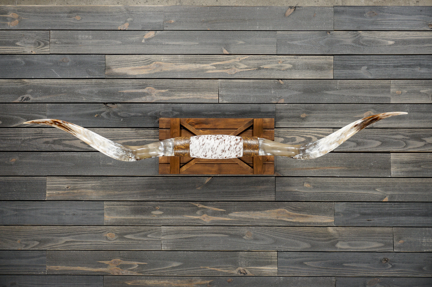 6' 0" Longhorn Wall Mount #294